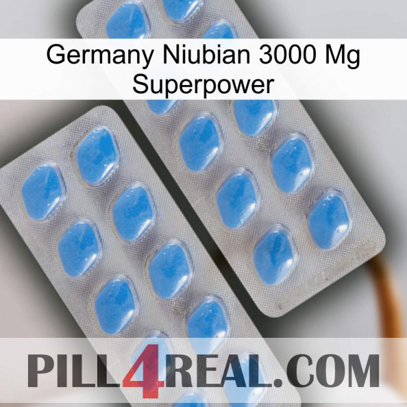 Germany Niubian 3000 Mg Superpower 23.jpg